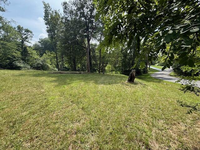 0 Angela Drive SW