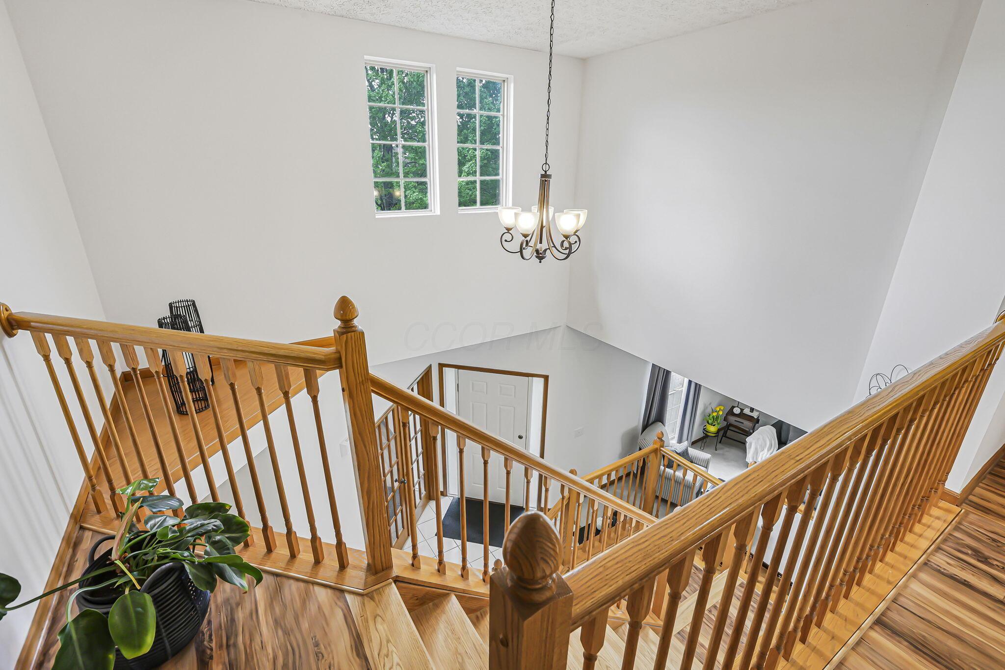 672 Morello Court