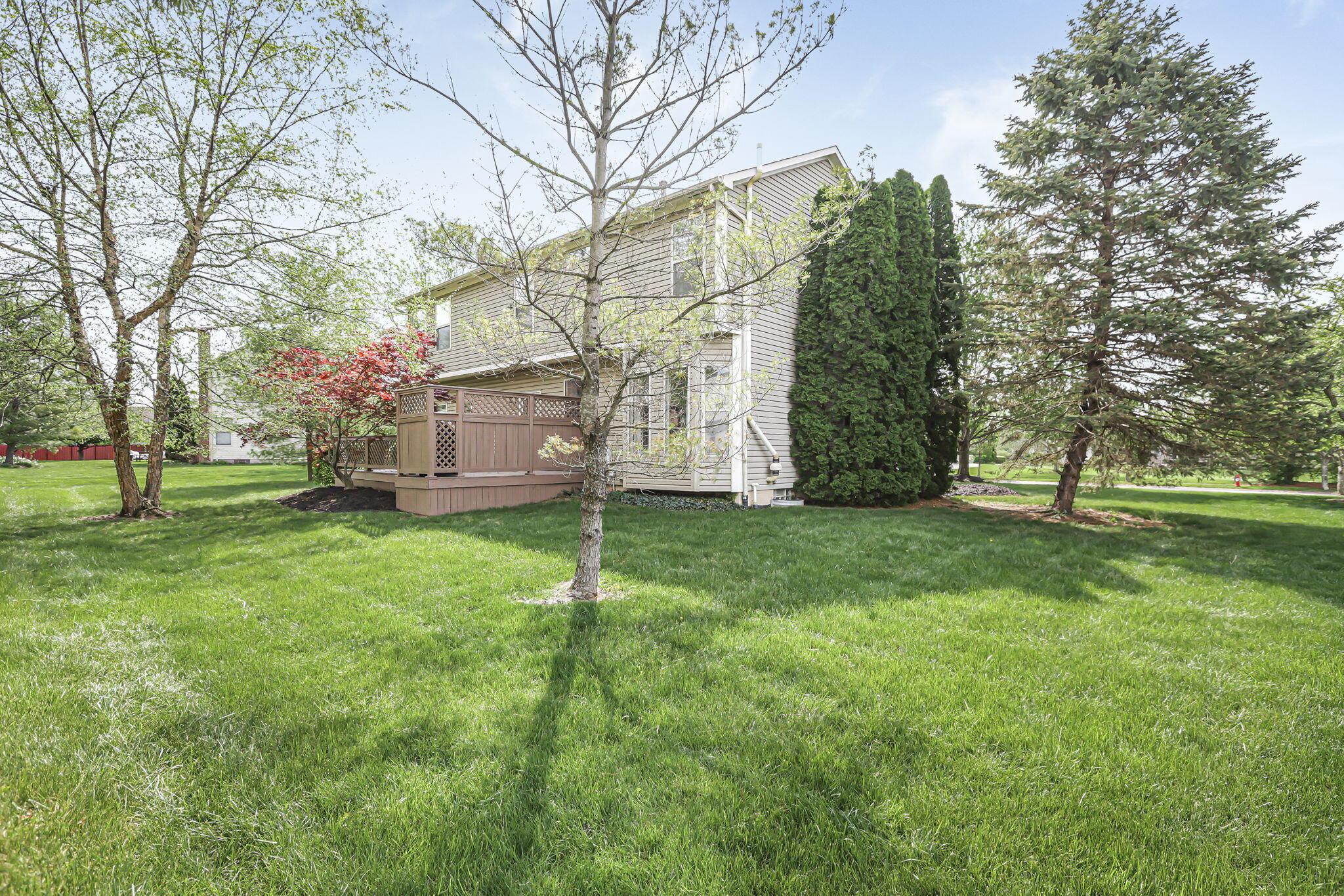 672 Morello Court