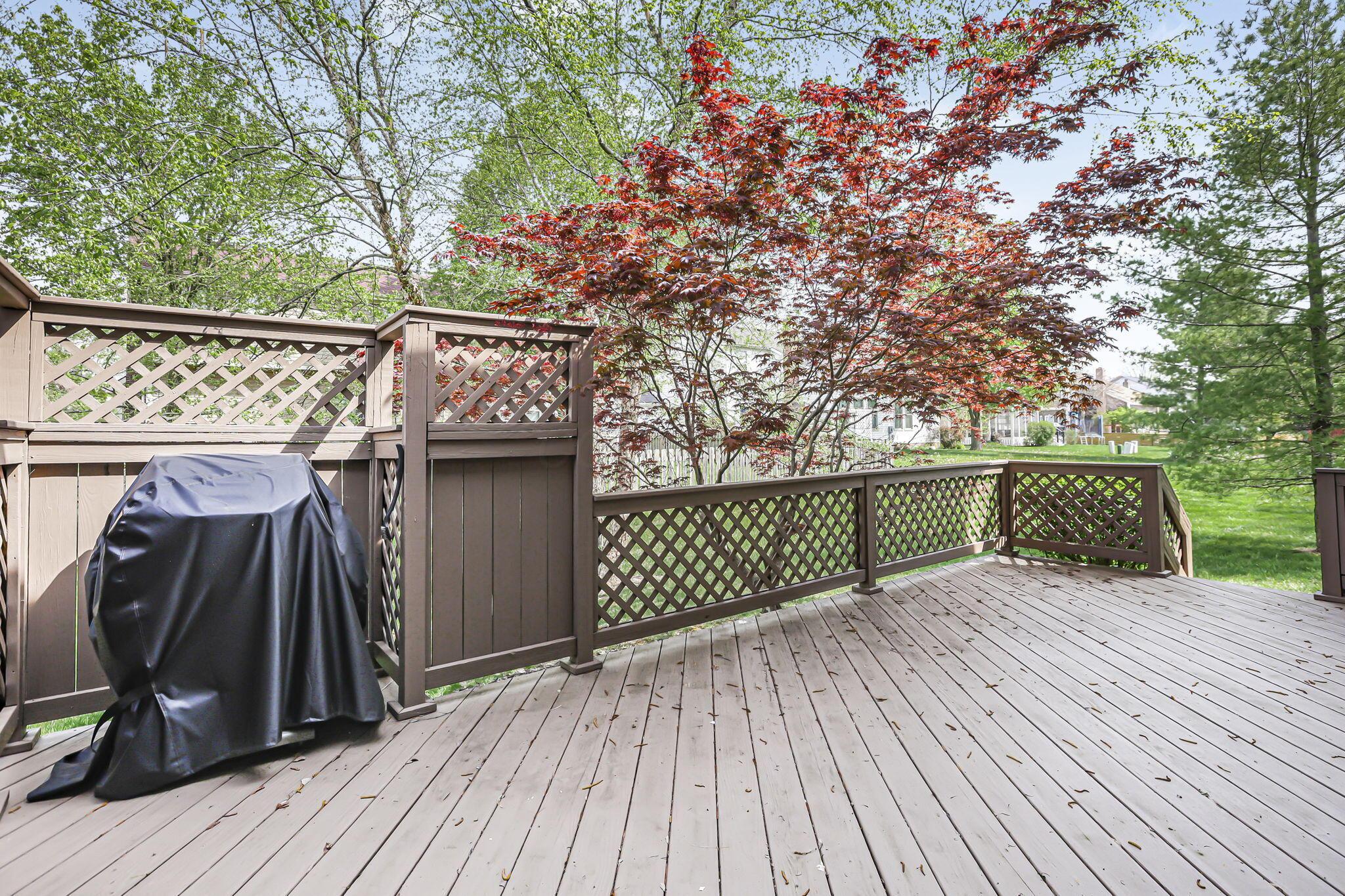 672 Morello Court