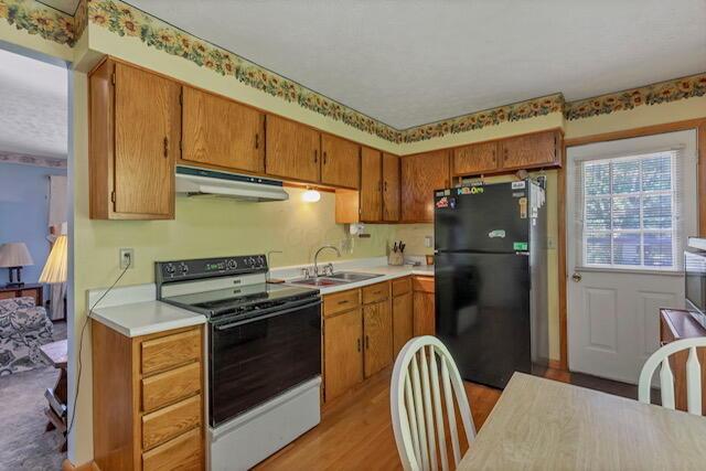 13388 Eagle Drive