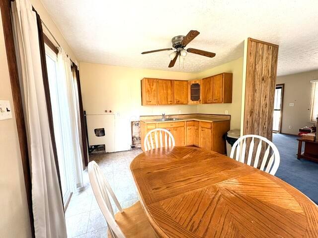 541 Mohawk Drive