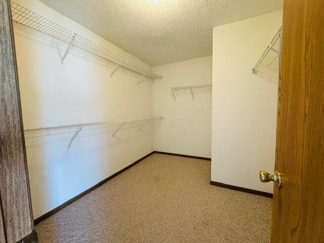 1716 Fern Trail Drive