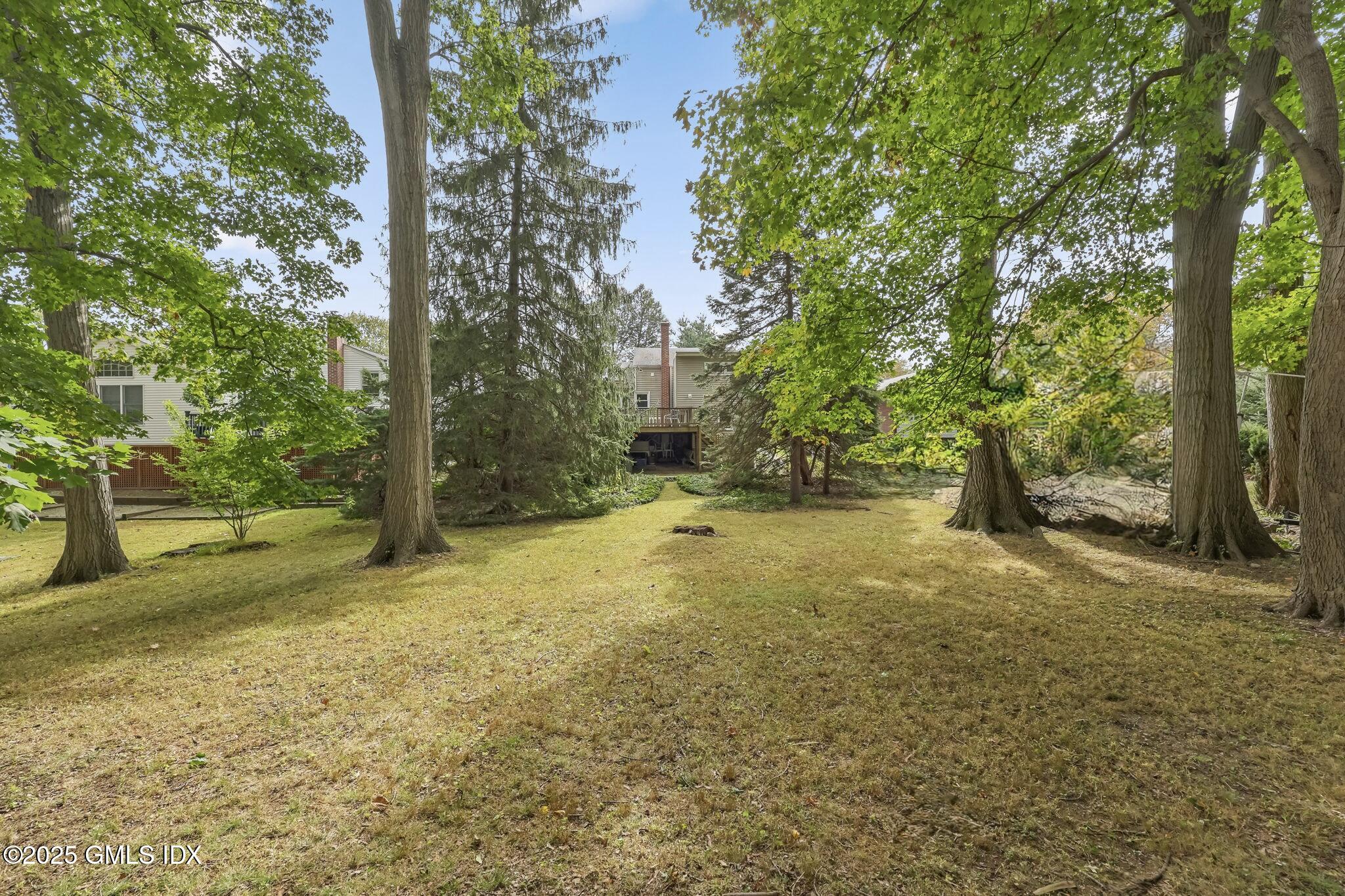 23 Silver Beech Road