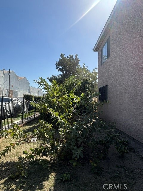 Side yard with dense shrubs beside the house and a black metal fence.