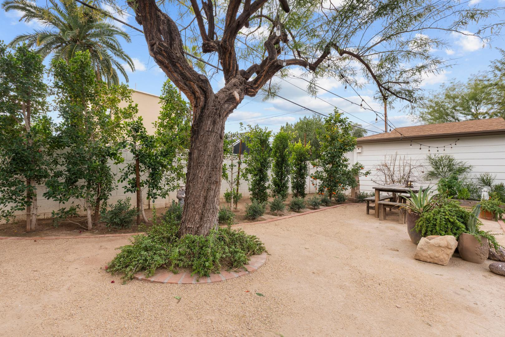 317 W Encanto Boulevard