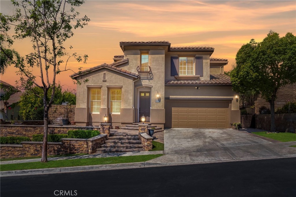 23171 Rockrose