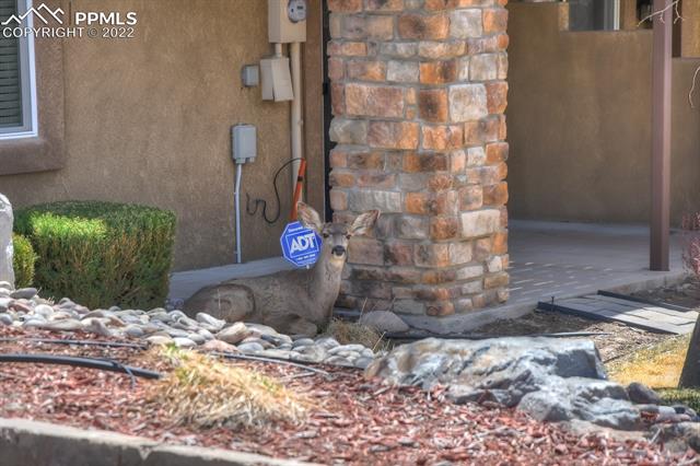 2635 Avalanche Heights