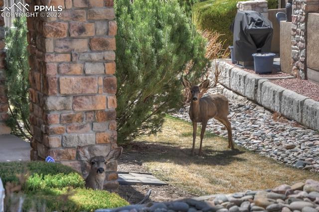 2635 Avalanche Heights