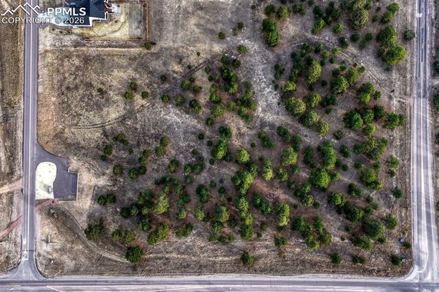 16511 Early Light Drive