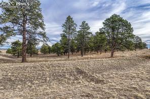 16511 Early Light Drive