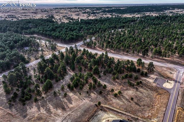 16511 Early Light Drive