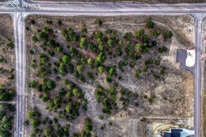 16511 Early Light Drive