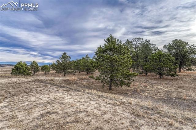 16511 Early Light Drive