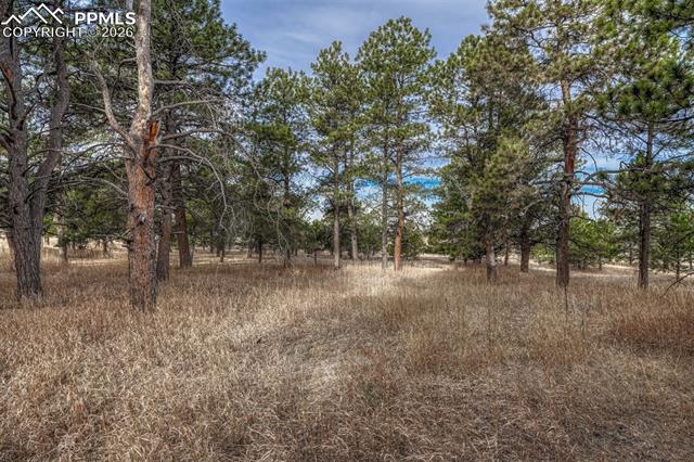 16511 Early Light Drive