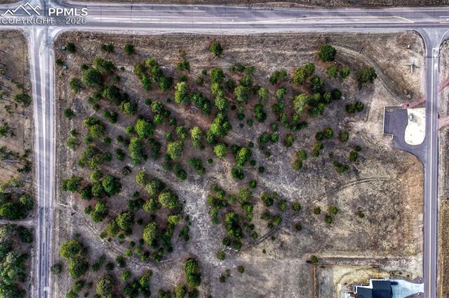 16511 Early Light Drive