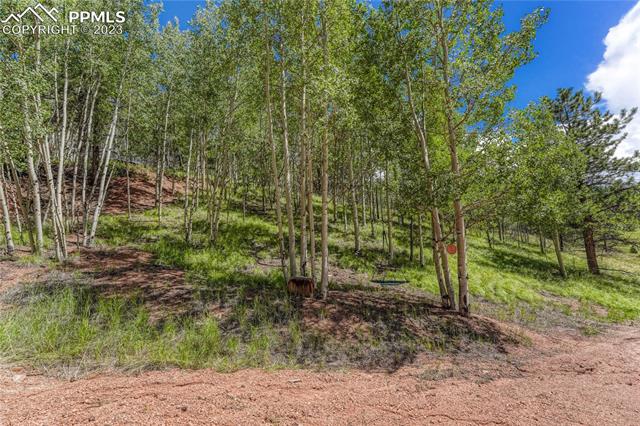 176 Pikes Peak Drive