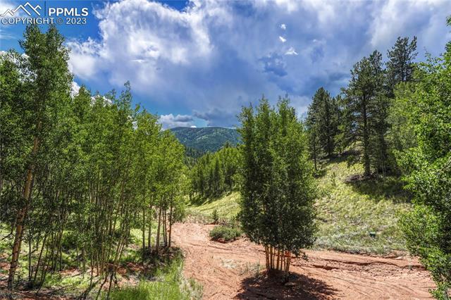 176 Pikes Peak Drive