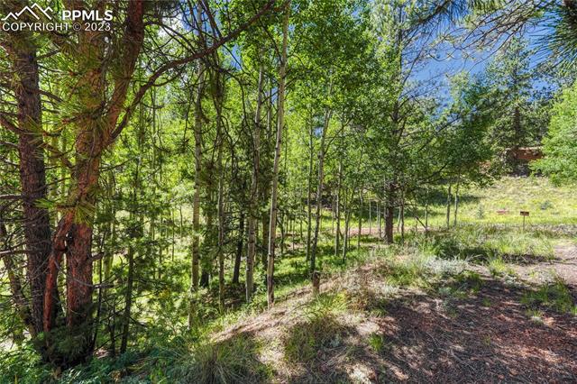 176 Pikes Peak Drive