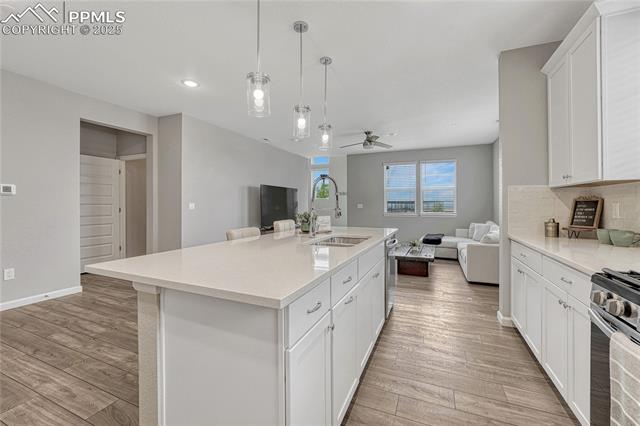 10793 White Diamond Point