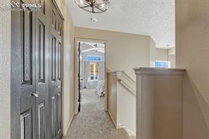 7295 Cotton Drive