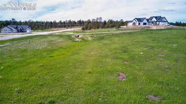 11856 Flap Jack Lane