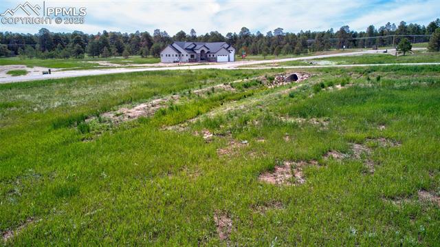 11856 Flap Jack Lane