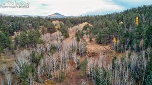413 Pike View Drive