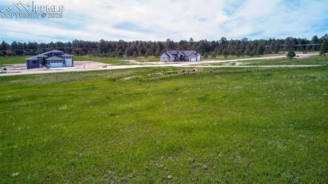 11856 Flap Jack Lane