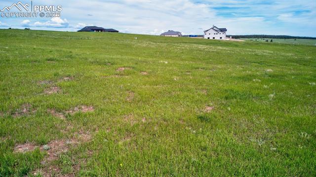 11856 Flap Jack Lane