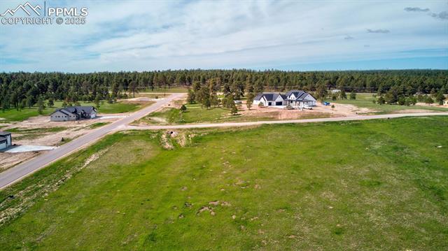 11856 Flap Jack Lane