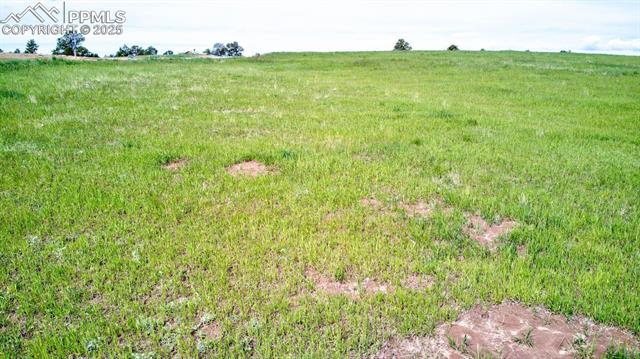 11856 Flap Jack Lane