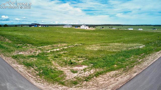 11856 Flap Jack Lane