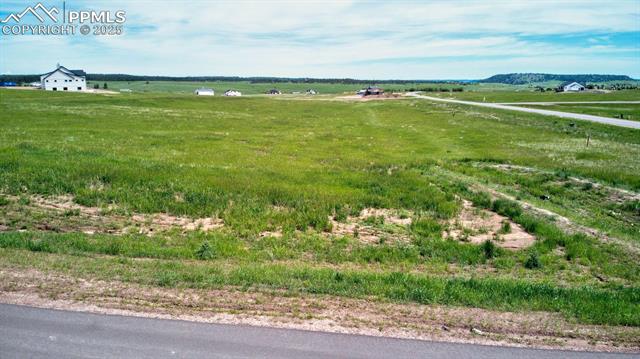 11856 Flap Jack Lane