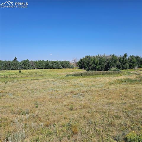 14120 Highway 94