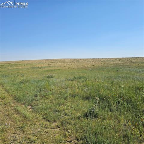 14120 Highway 94