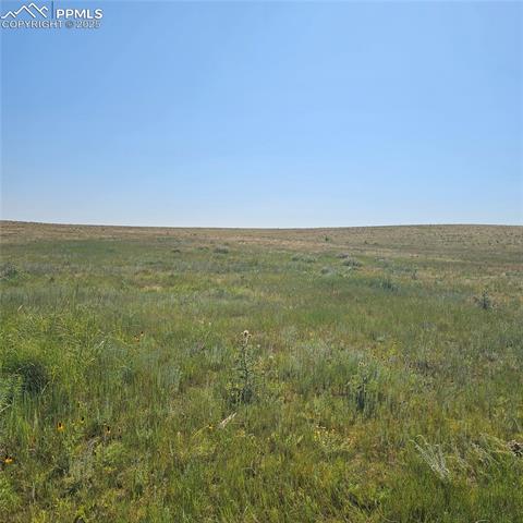 14120 Highway 94