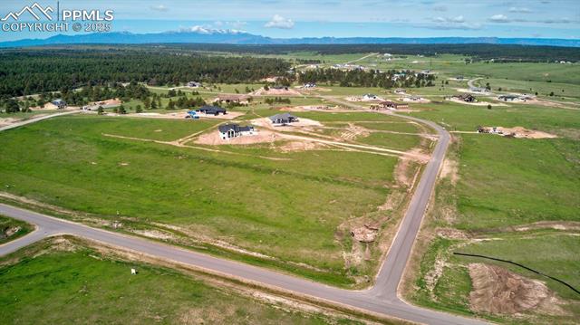 16810 Early Light Drive