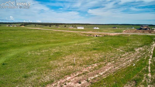 16810 Early Light Drive