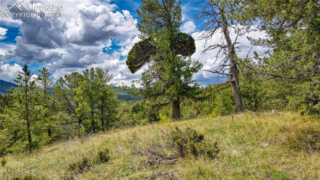 623 Rocky Mountain View