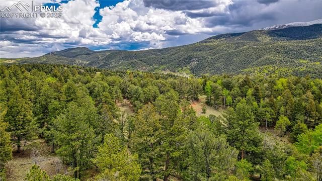 623 Rocky Mountain View