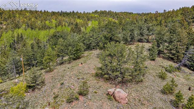 623 Rocky Mountain View