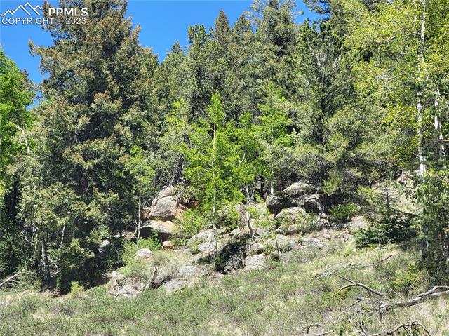 623 Rocky Mountain View