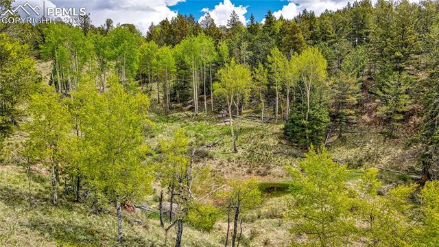 623 Rocky Mountain View