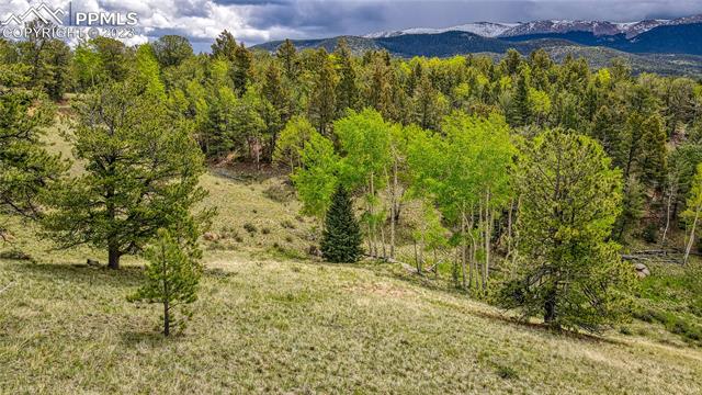 623 Rocky Mountain View