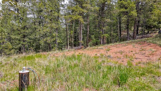 623 Rocky Mountain View