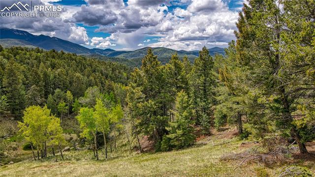 623 Rocky Mountain View