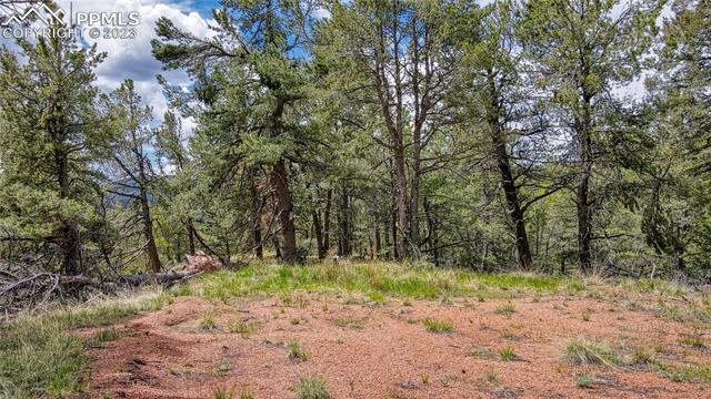 623 Rocky Mountain View