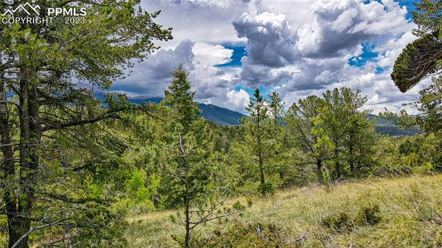 623 Rocky Mountain View