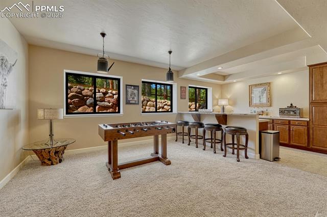 1250 Cottontail Trail